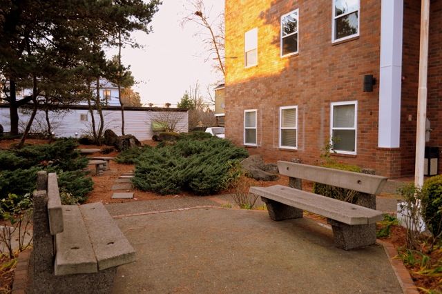 Mid-Size Belmont Office